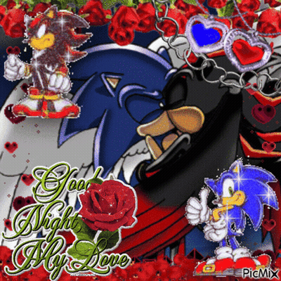 A Picture Of Sonic The Hedgehog And Shadow The Hedgehog With The Words Good Night My Love GIF