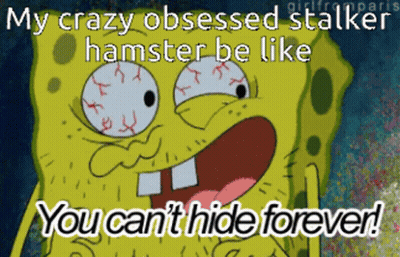 A Picture Of Spongebob With A Caption That Says My Crazy Obsessed Stalker Hamster Be Like You Can 'T Hide Forever GIF