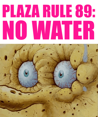 A Picture Of Spongebob With The Words " Plaza Rule 89- No Water " Below It GIF