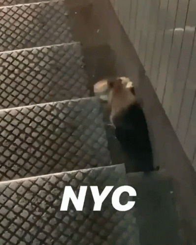 A Picture Of Stairs With Nyc Written On It GIF