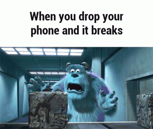 A Picture Of Sulley From Monsters Inc With The Words When You Drop Your Phone And It Breaks GIF
