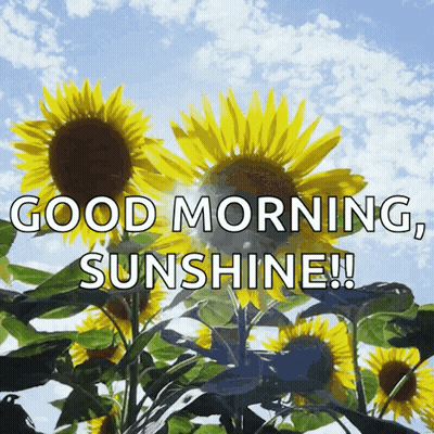 A Picture Of Sunflowers With The Words " Good Morning Sunshine " On It GIF