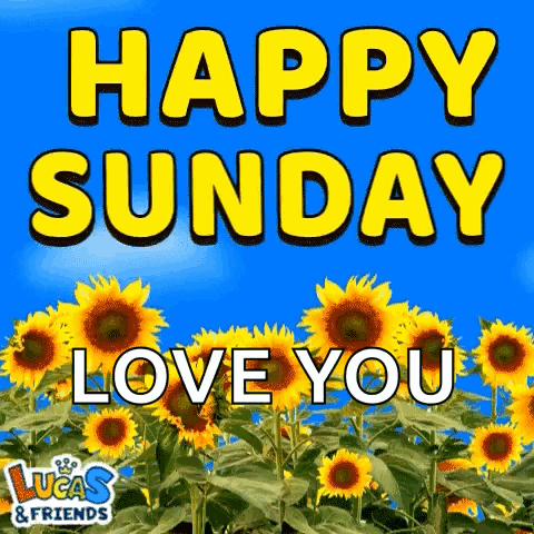 A Picture Of Sunflowers With The Words Happy Sunday Love You . GIF