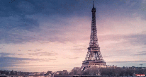 A Picture Of The Eiffel Tower Taken By Trunk Filled GIF