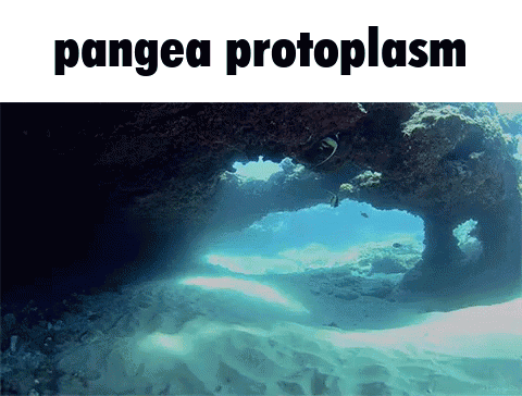 A Picture Of The Ocean With The Words Pangea Protoplasm GIF