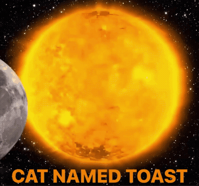 A Picture Of The Sun With The Words Cat Named Toast GIF