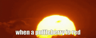 A Picture Of The Sun With The Words " When A Puffleberry Is Red " GIF