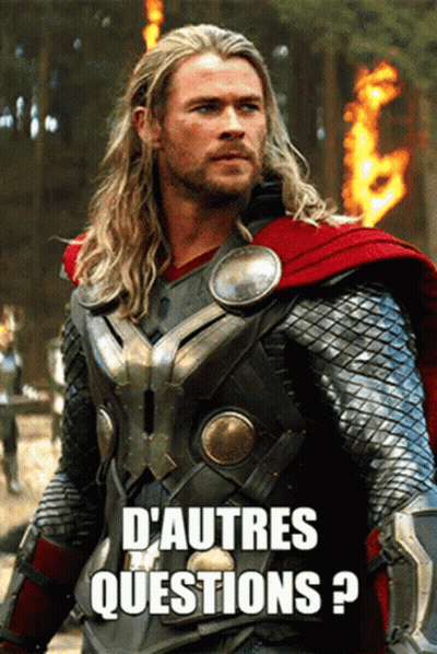 A Picture Of Thor With The Words D' Autres Questions Written Below Him GIF