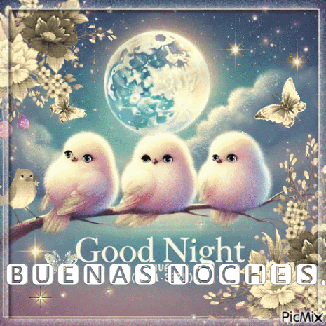 A Picture Of Three Birds Sitting On A Branch With The Words Good Night Buenas Noches GIF