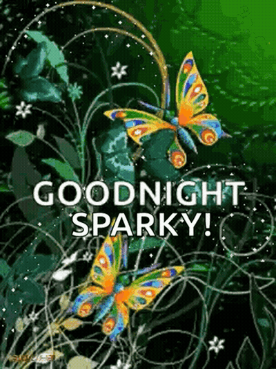 A Picture Of Three Butterflies With The Words Goodnight Sparky GIF