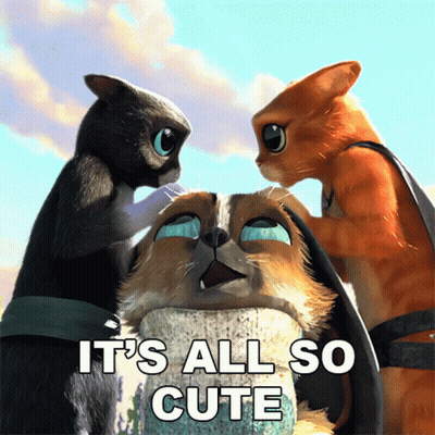 A Picture Of Three Cats With The Words It 'S All So Cute Above Them GIF