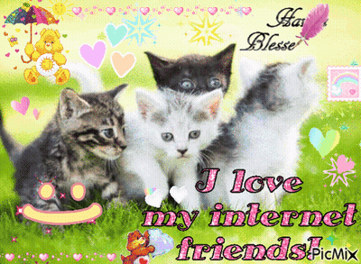 A Picture Of Three Kittens With The Words " I Love My Internet Friends " GIF