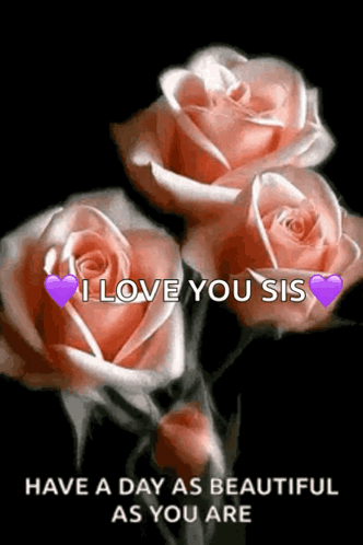 A Picture Of Three Pink Roses With A Message That Says I Love You Sis Have A Day As Beautiful As You Are GIF