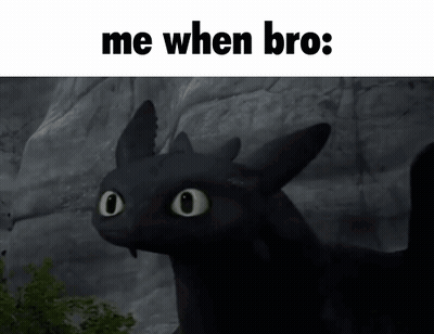 A Picture Of Toothless From How To Train Your Dragon Says Me When Bro GIF