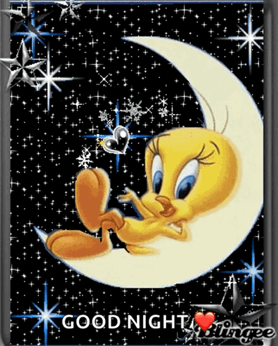A Picture Of Tweety Sitting On A Crescent Moon With The Words Good Night GIF
