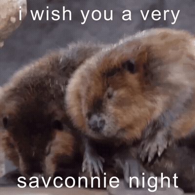 A Picture Of Two Beavers With The Caption I Wish You A Very Savonnie Night GIF