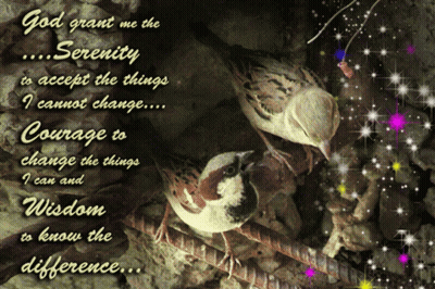 A Picture Of Two Birds And A Quote That Says God Grant Me The Serenity To Accept The Things I Cannot Change GIF
