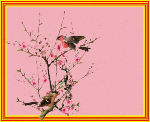 A Picture Of Two Birds On A Tree Branch With The Year 2019 GIF