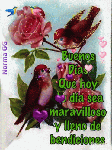 A Picture Of Two Birds Sitting On A Rose With The Words Buenos Dias Que Hoy Dia Sea Maravilloso Y Lleno De Bendiciones GIF