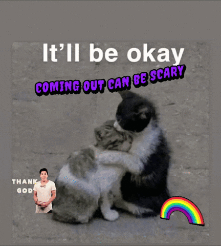 A Picture Of Two Cats Hugging With The Caption It 'Ll Be Okay GIF