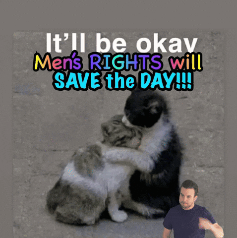 A Picture Of Two Cats Hugging With The Caption It 'Ll Be Okay Men 'S Rights Will Save The Day !!! GIF