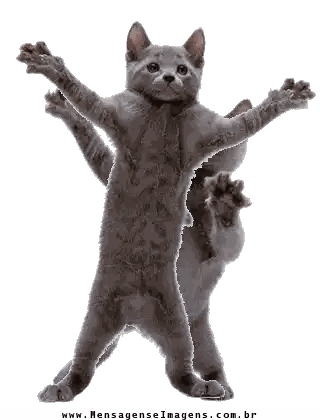 A Picture Of Two Cats With The Website Www.mensagenseimages.com.br At The Bottom Right Sticker