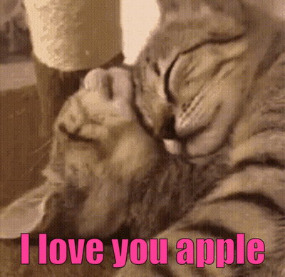 A Picture Of Two Cats With The Words " I Love You Apple " In Pink Letters GIF