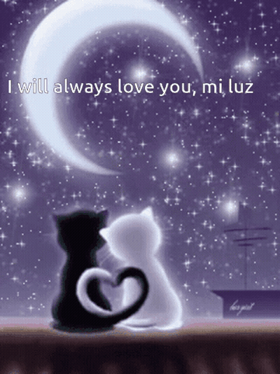 A Picture Of Two Cats With The Words " I Will Always Love You Mi Luz " On The Bottom GIF