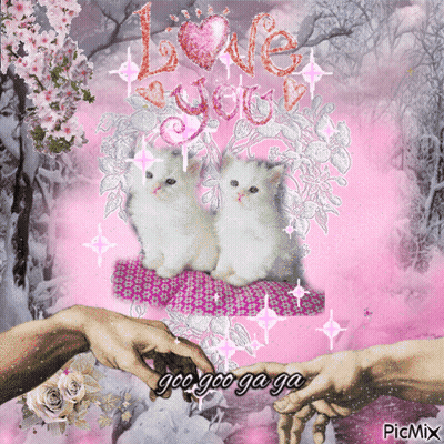 A Picture Of Two Cats With The Words Love You GIF