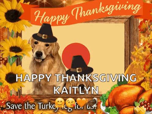 A Picture Of Two Dogs Wearing Pilgrim Hats Says Happy Thanksgiving GIF