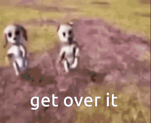 A Picture Of Two Dogs With The Words Get Over It Written On It GIF
