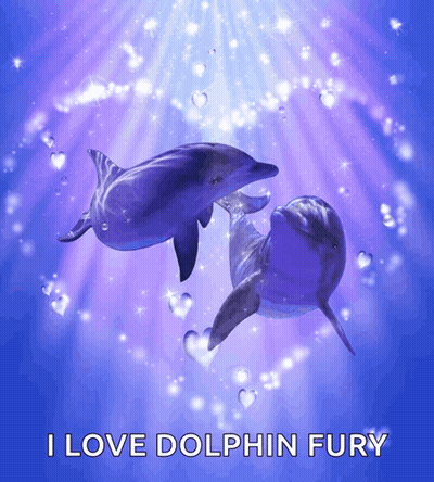A Picture Of Two Dolphins With The Words I Love Dolphin Fury GIF