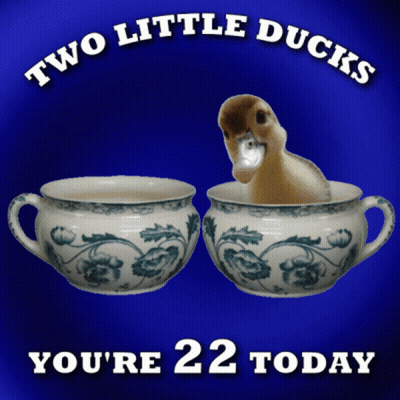 A Picture Of Two Little Ducks On A Blue Background That Says You 'Re 22 Today GIF