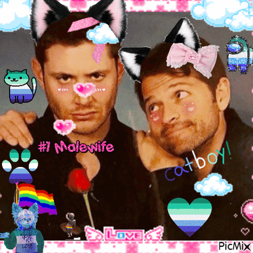 A Picture Of Two Men With Cat Ears And The Words # 1 Malewife And Catboy GIF