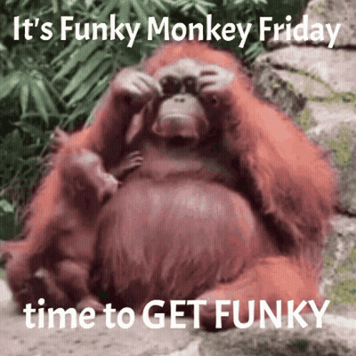 A Picture Of Two Orangutans With The Caption It 'S Funky Monkey Friday GIF