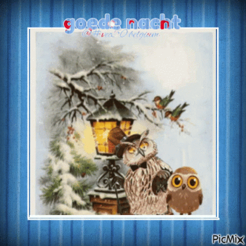 A Picture Of Two Owls And A Lamp Post With The Words Goede Nacht On It GIF