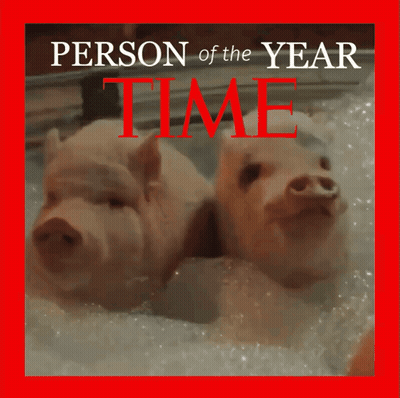 A Picture Of Two Pigs On The Cover Of A Time Magazine GIF