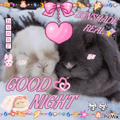A Picture Of Two Rabbits With The Words " Good Night " On The Bottom GIF