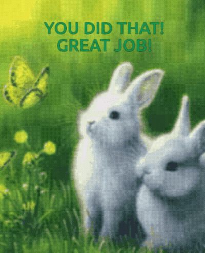 A Picture Of Two Rabbits With The Words " You Did That Great Job " Above Them GIF