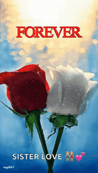 A Picture Of Two Roses With The Words Forever Sister Love Above Them GIF