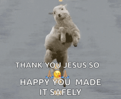 A Picture Of Two Sheep Jumping In The Air With The Words Thank You Jesus So Happy You Made It Safely GIF