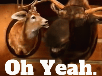 A Picture Of Two Stuffed Deer Heads With The Words Oh Yeah Above Them GIF