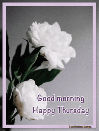 A Picture Of Two White Flowers With The Words Good Morning Happy Thursday GIF