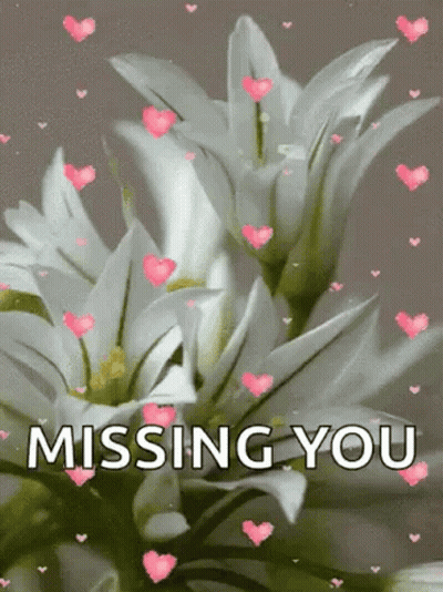 A Picture Of White Flowers With Pink Hearts And The Words `` Missing You '' GIF