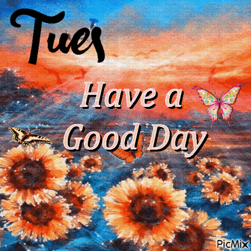 A Picture That Says Tues Have A Good Day With Flowers And Butterflies GIF