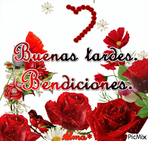 A Picture With Red Roses And The Words Buena Tardes Bendiciones GIF