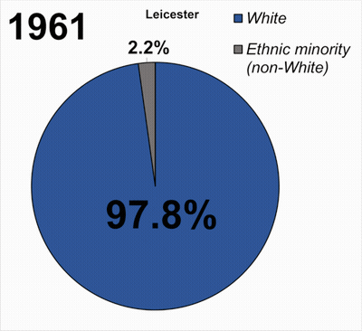 A Pie Chart Shows The Percentage Of People Of Different Races GIF