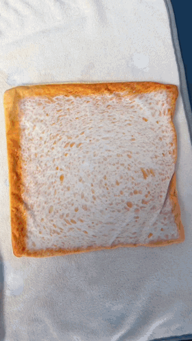 A Piece Of Bread With A White Crust On A White Towel GIF