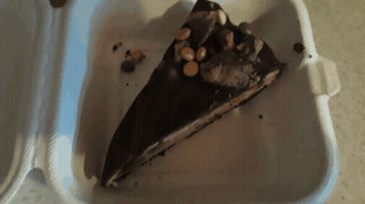 A Piece Of Chocolate Cake In A Styrofoam Box GIF