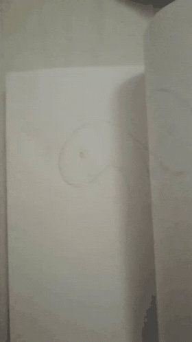 A Piece Of Paper With A Drawing Of A Circle On It GIF